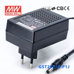 GST25E12-P1J 25W 12V2.08A高效能低空载损耗绿色节能欧规适配器
