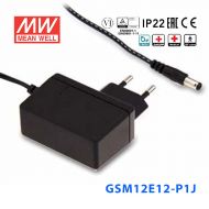 GSM12E12-P1J台湾明纬12W 80~264V输入 12V1A输出医疗型适配器