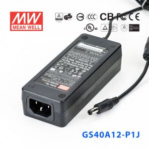 GS40A12-P1J 40W 12V3.34A 输出绿色能源明纬电源适配器(三线插口)