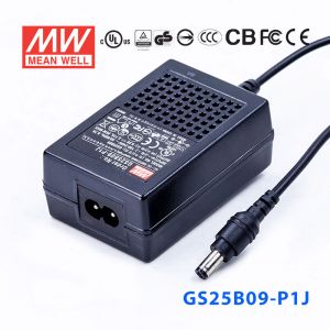 GS25B09-P1J 25W 9V2.77A 输出绿色能源明纬电源适配器(双线插口)
