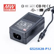GS25A28-P1J 25W 28V0.89A 输出绿色能源明纬电源适配器(三线插口)