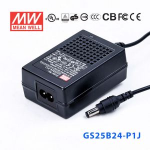 GS25B24-P1J 25W 24V1.04A 输出绿色能源明纬电源适配器(双线插口)