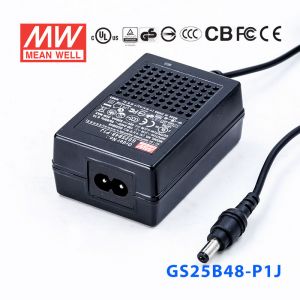 GS25B48-P1J 25W 48V0.52A 输出绿色能源明纬电源适配器(双线插口)